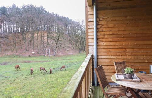 Maaseik Apartment | Recreatiedomein Warredal - The Lodge