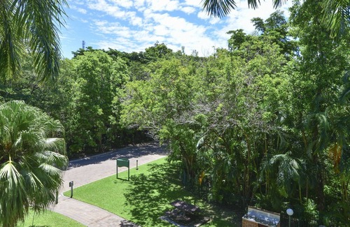 Palm Cove Apartment | Red Cowrie Coral Coast @ Palm Cove