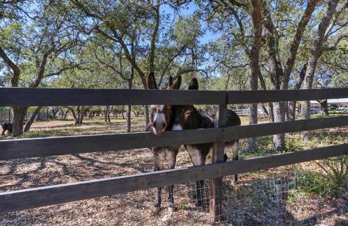 Woodcreek House | Red Donkey Cottage