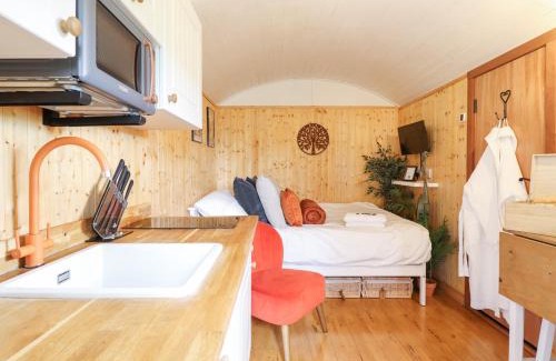 Oswestry House | Red Kite at Wild Valley Huts