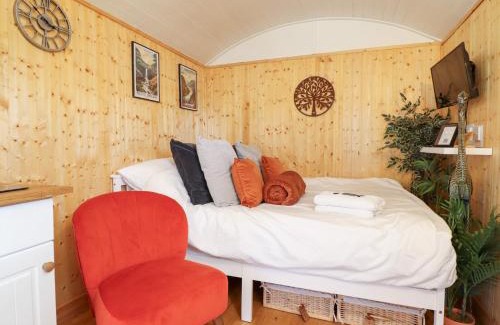 Oswestry House | Red Kite at Wild Valley Huts