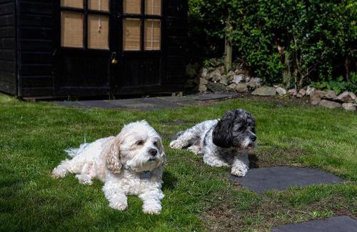 Brynsiencyn House | Red Robin Cottage