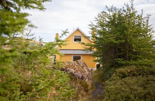 Torshavn House | Red Robin - Vacation homes next to Svartifossur waterfall