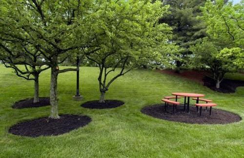 Blue Ash Hotel | Red Roof Inn Cincinnati Northeast - Blue Ash