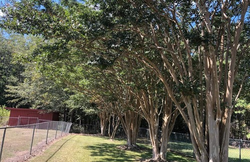 Cataula House | Red Roof Retreat/Ft. Moore/Callaway/Columbus
