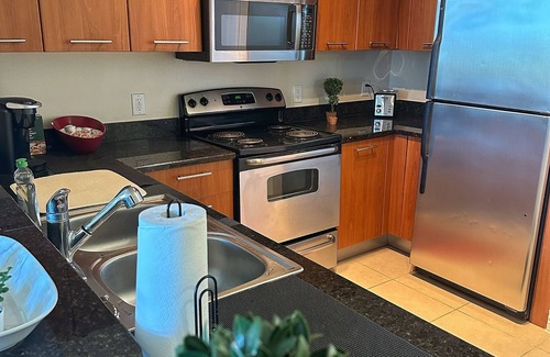 South Central Houston Apartment | Red Velvet Houston Downtown Loft