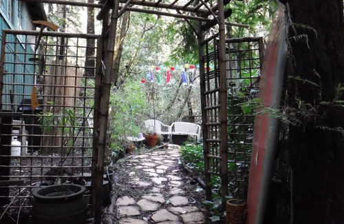 Felton Cabin | Redwood Mountain Hideaway in Felton near Lake + Santa Cruz