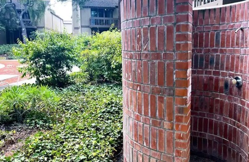 Jackson Park Condo | Redwood-nestled comfort
