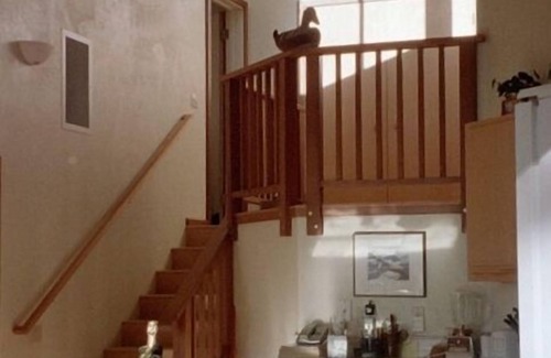 Timber Cove House | Redwoods. Ocean. Escape.
