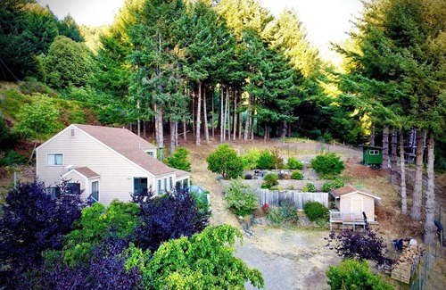 Shelter Cove House | Redwoods & Waves- An experience. Disc Golf, Putting Green, Beach toys, sleeps 6
