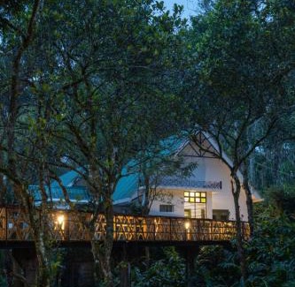 Elappara House | Reen Resorts Aanavilasam Plantation Thekkady