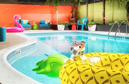 University District Hotel | Refreshing Stay, Two Queen w/Tub, Pet-Friendly, Pineapple Theme, 2 Rooms