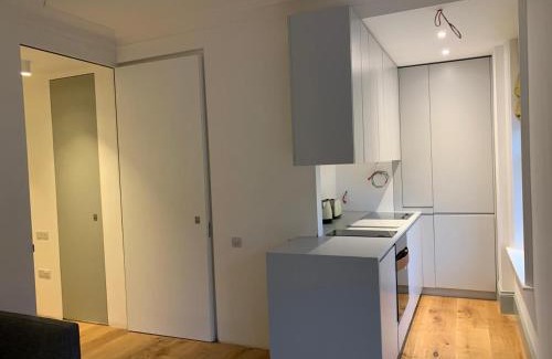 Euston Apartment | Regents Park Apartments