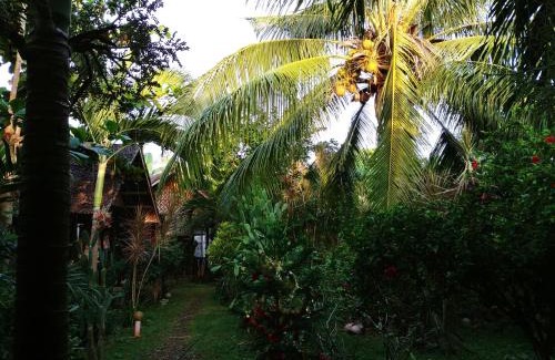 Tawala Hotel | Reggae Guesthouse