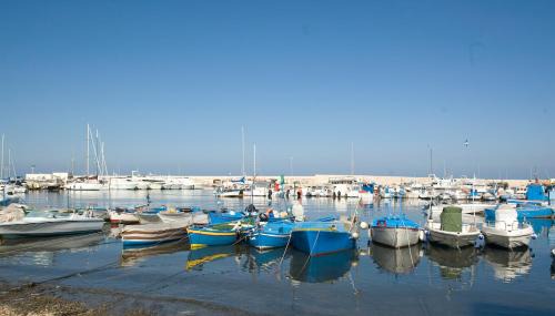 Mola di Bari Apartment | Regina di Cuori