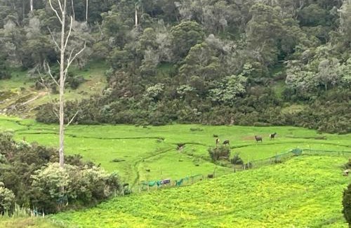 Ooty House | REHMANS HOMESTAY