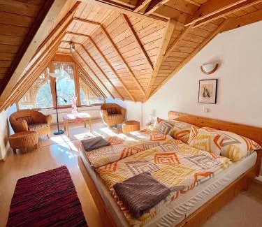 Kiskunhalas Apartment | Reichelhausen Vendégház