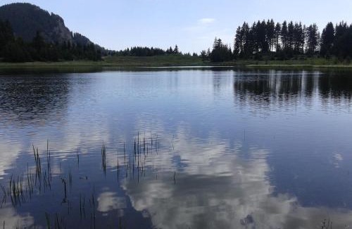 Smolyan Apartment | RELAX aпартаменти, Смолянски езера, вила ВЕНЕРА, к-с Маунтин Лейк
