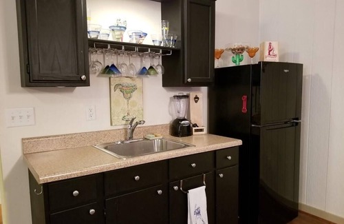 Wildwood Point House | Relax among the palms at Reeled Inn on Beautiful Lake Gaston