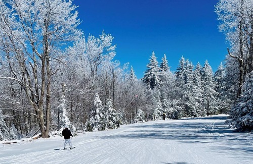 Davis Cabin | Relax and Unwind at the Bear Stroll Bungalow