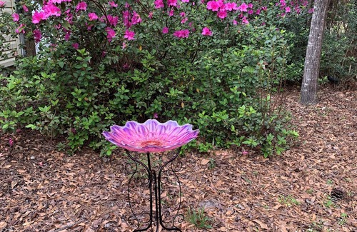 Tallahassee House | Relax in a country setting near the battlefield of Natural Bridge