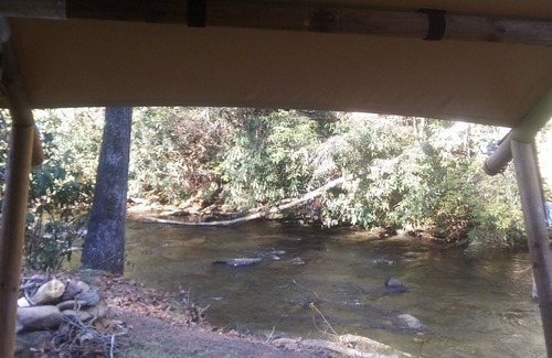 Murphy RV Rental | Relax in a Safari Glamp Tent beside the creek, firepit- outdoor experience.