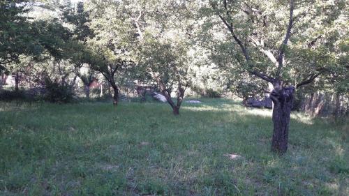 Sedlec Cabin | Relax na Morave
