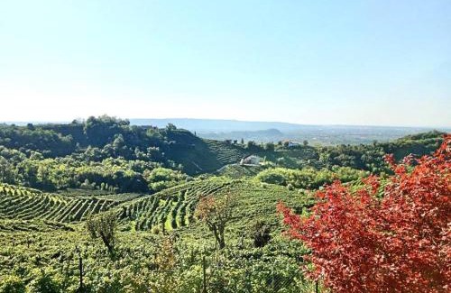 Pederobba Apartment | Relax nelle colline del Prosecco