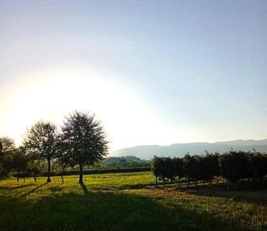 Pederobba Apartment | Relax nelle colline del Prosecco