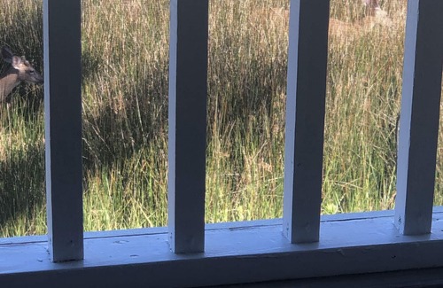 Edisto Island House | Relax on Huge Porch Overlooking Marsh- Short Walk to Beach