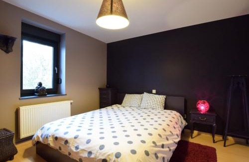 Vaux-sur-Sure House | Relax & Play in Ardennes