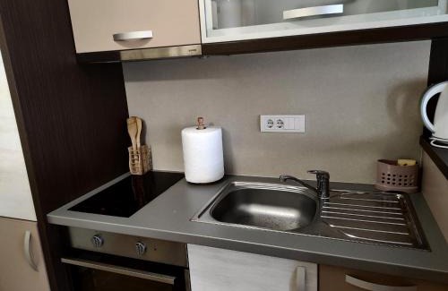 Vrnjacka Banja Apartment | Relax