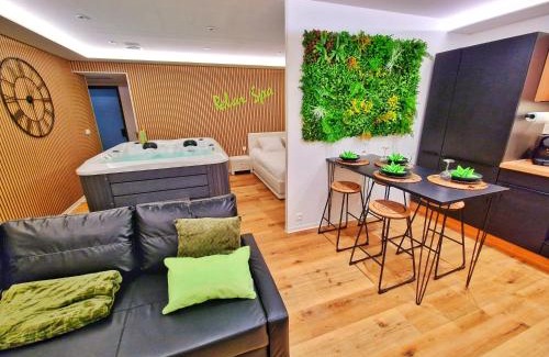 Muntzenheim Apartment | RELAX SPA-4 Pers-Jacuzzi-Parking-Jardin-Clim-Colmar
