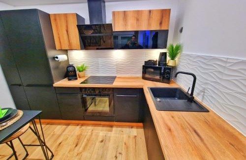 Muntzenheim Apartment | RELAX SPA-4 Pers-Jacuzzi-Parking-Jardin-Clim-Colmar