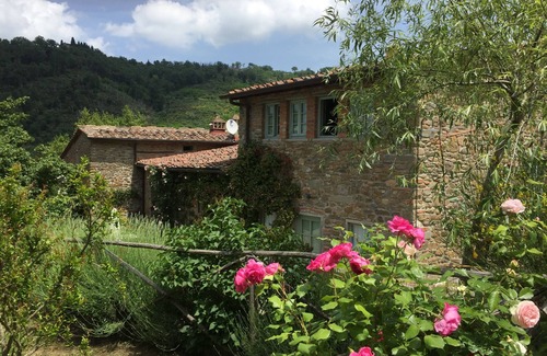 Greve in Chianti House | Relaxing and stilish home only 30 minutes from Florence in Chianti Region