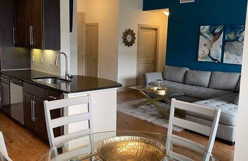 Astrodome Apartment | Relaxing home near Med Center/NRG