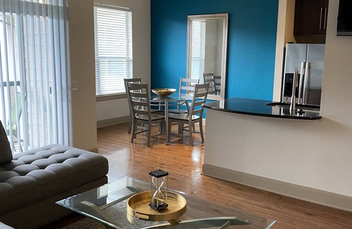 Astrodome Apartment | Relaxing home near Med Center/NRG