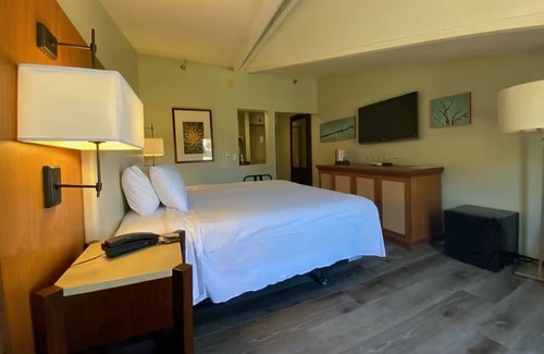 Mount Charleston Hotel | Relaxing Pet-Friendly Hideaway with Free Parking & Seasonal Experiences