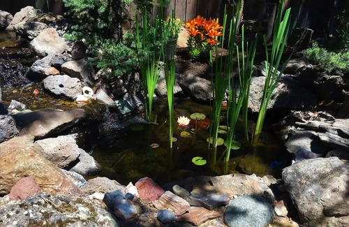 Orchard District House | Relaxing Retreat-Walk Downtown & 2 Charming Patios