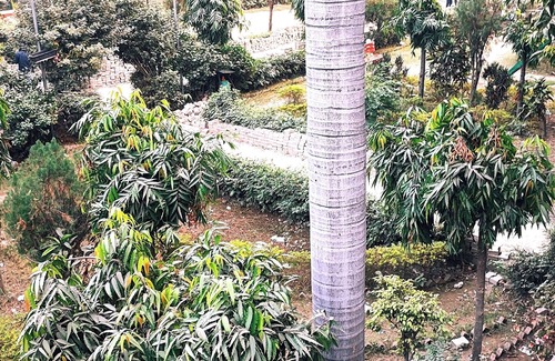 Varanasi House | "Relaxing Room in Varanasi – Ideal for Solo Travelers or Couples"