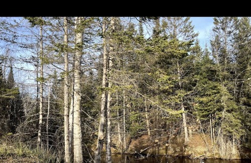 Bowman Cottage | Relaxing waterfront with hot tub and game room