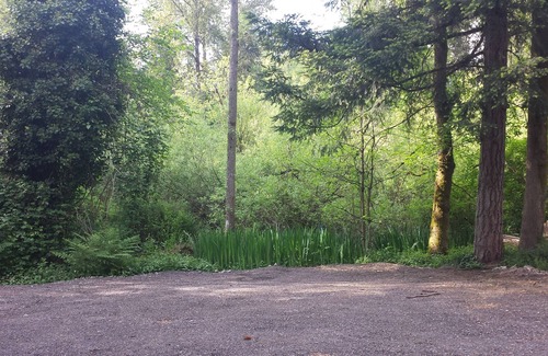 Kent Apartment | Relaxing weekend includes Float Tank and IR Sauna, nestled in a nature setting