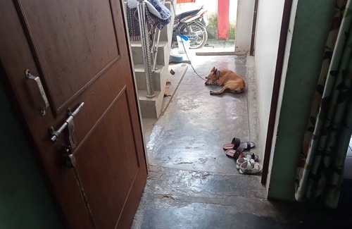 Varanasi House | Religious Nagari Varanasi