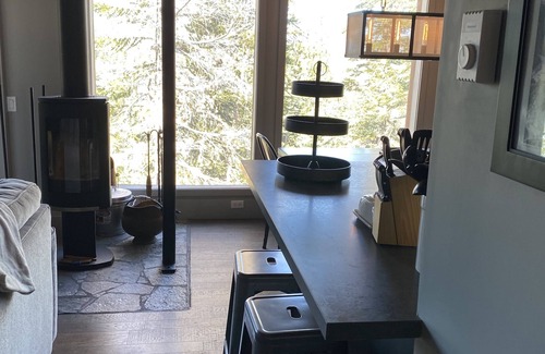 Mammoth Lakes Condo | Remodeled Ski In Out Hiking & Biking