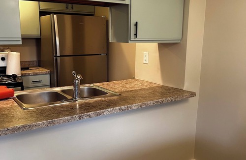 Waconia House | Remodeled Townhome - Close tonThe Lake - Quaint Downtown - The Hospital