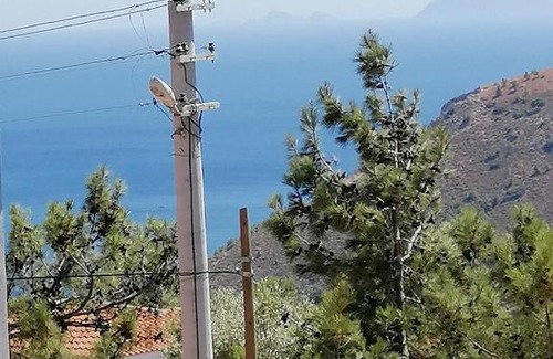 Datca Villa | Remy-layanna