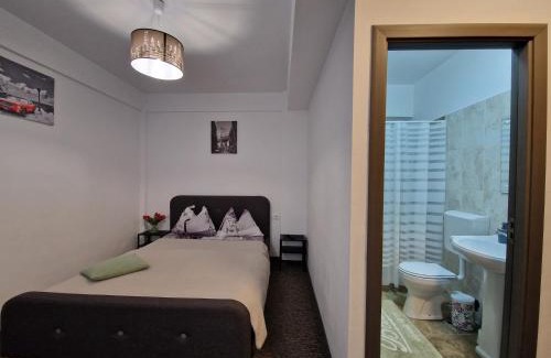 Baile Herculane House | Renate House