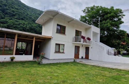 Baile Herculane House | Renate House