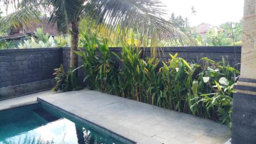 Ubud Villa | Rendira Villa