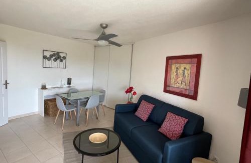 Cagnes-sur-Mer Apartment | Renoir Appartement